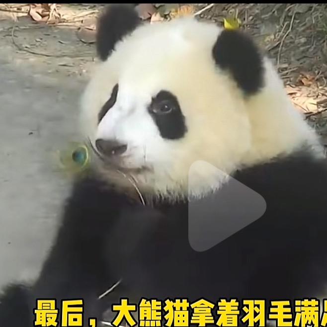 上网浑水摸鱼