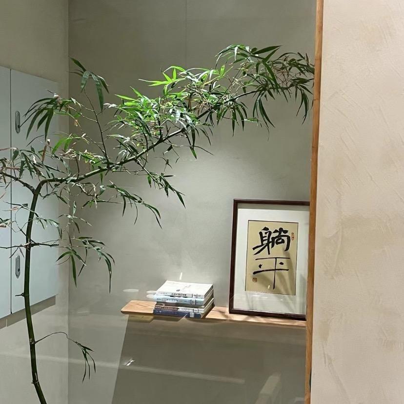木森居家好物