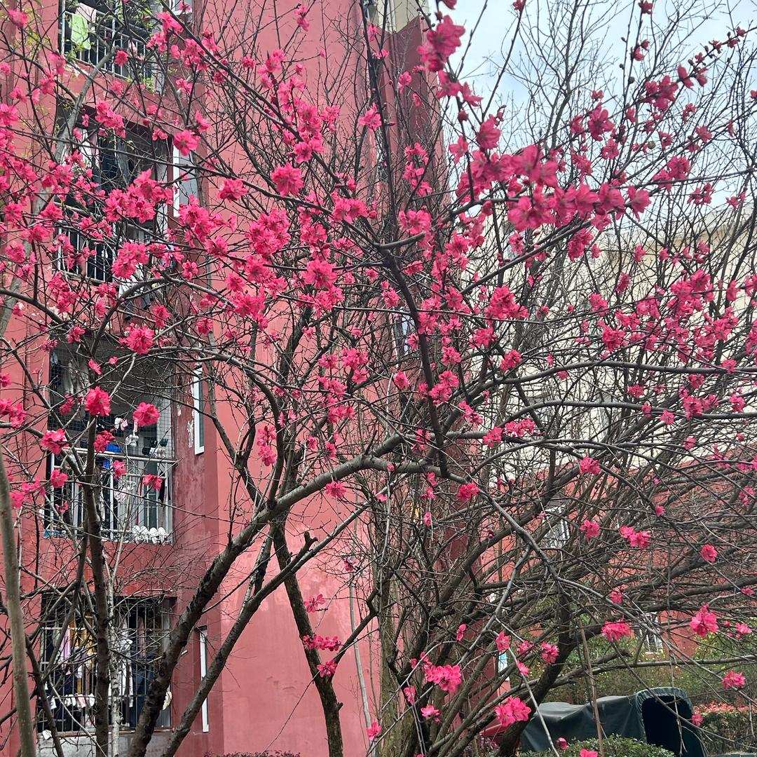 小熊炸毛啦