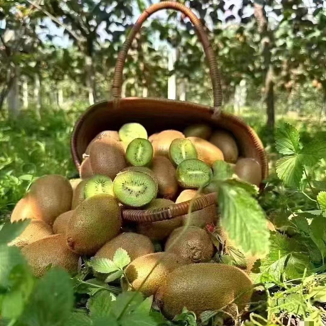 小杨邮生鲜