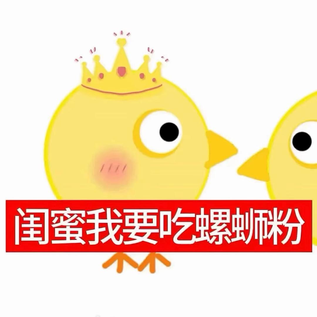 会飞的鲨鱼