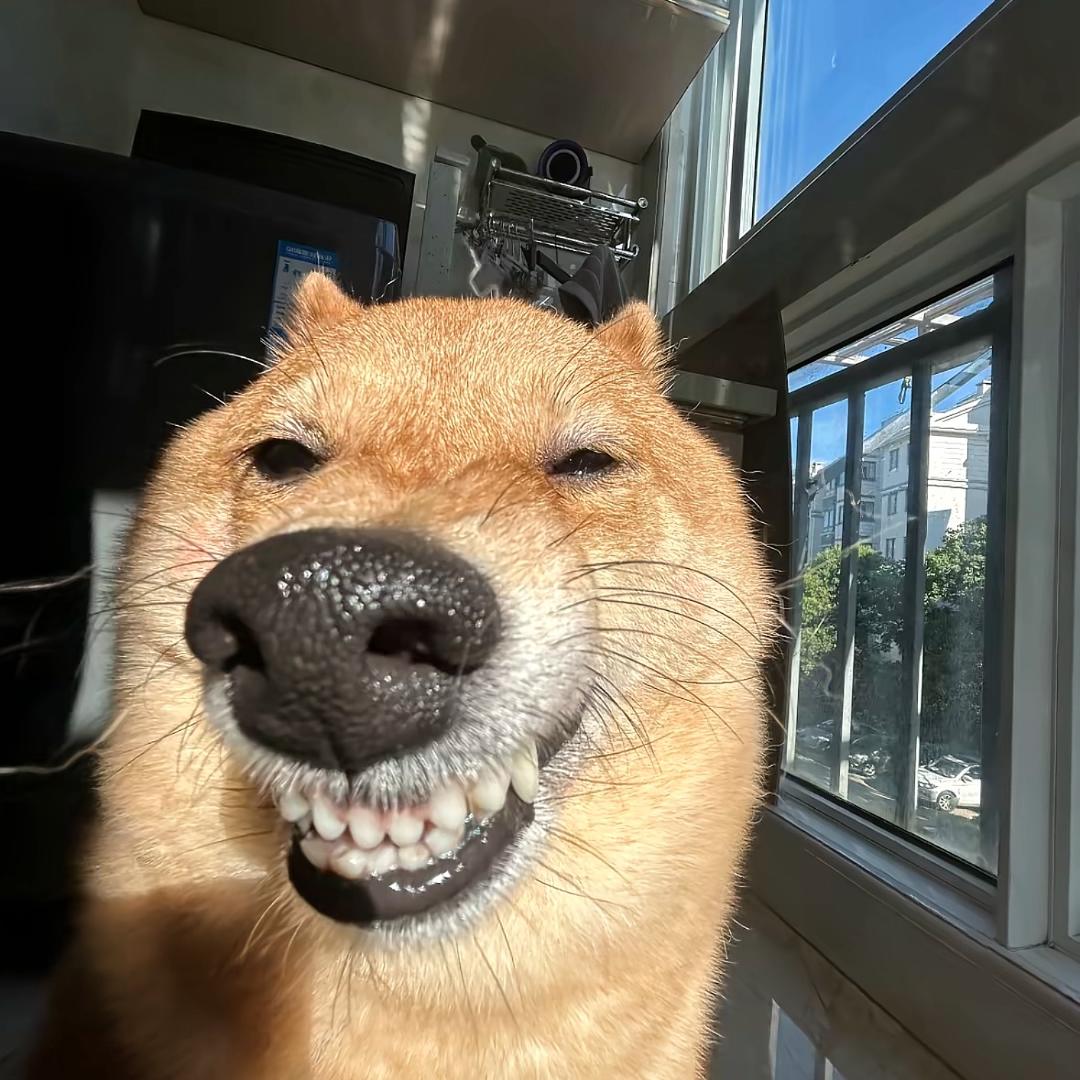 十七不说话