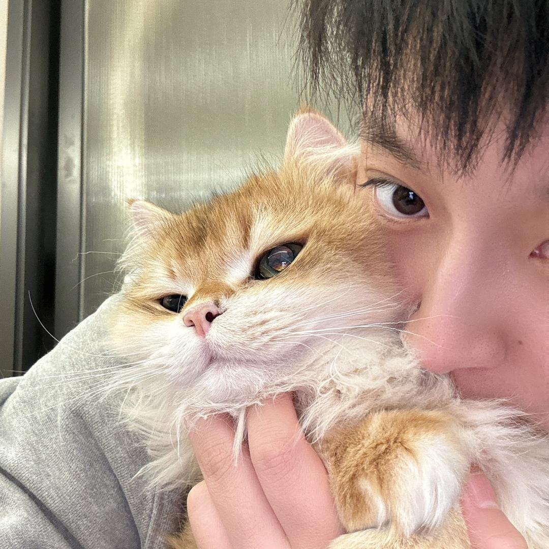 酱酱真粘牙