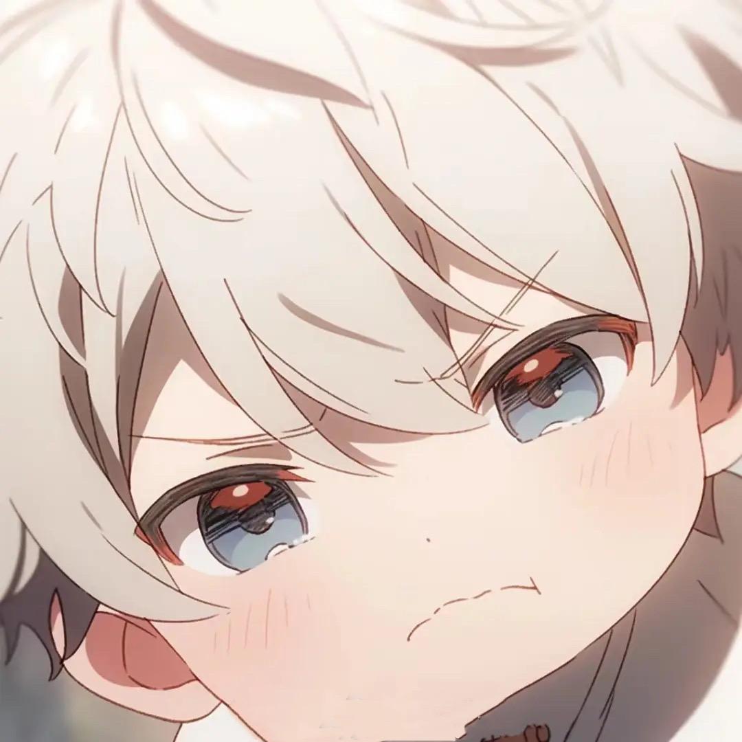 ……………