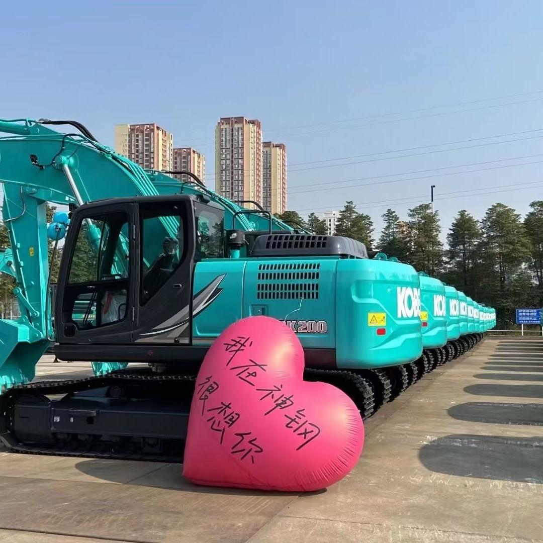 中联重科+神钢建机（安徽南亚）