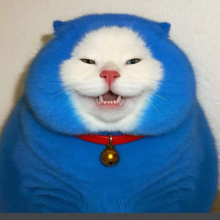 🐳❄️