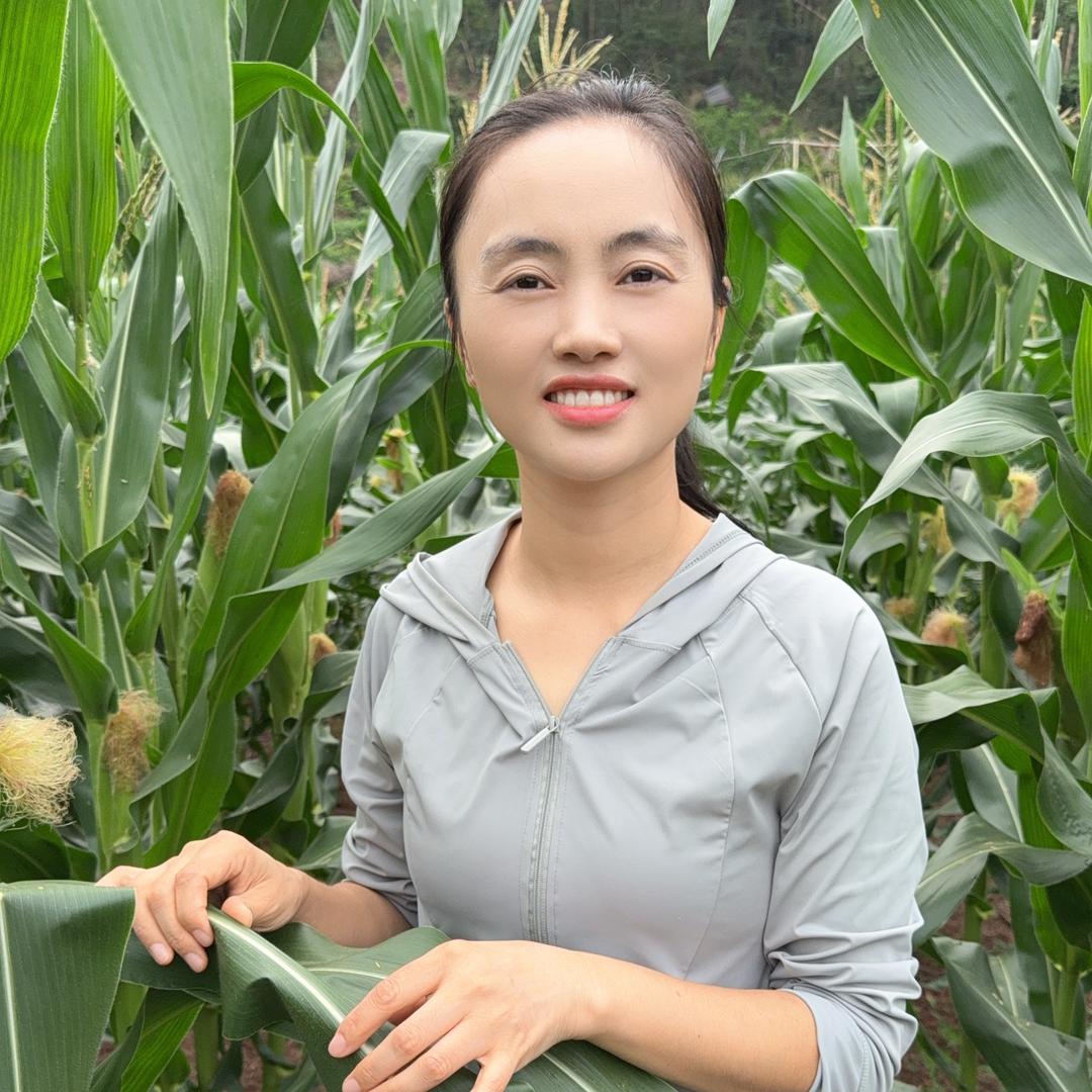 川乡琴妹