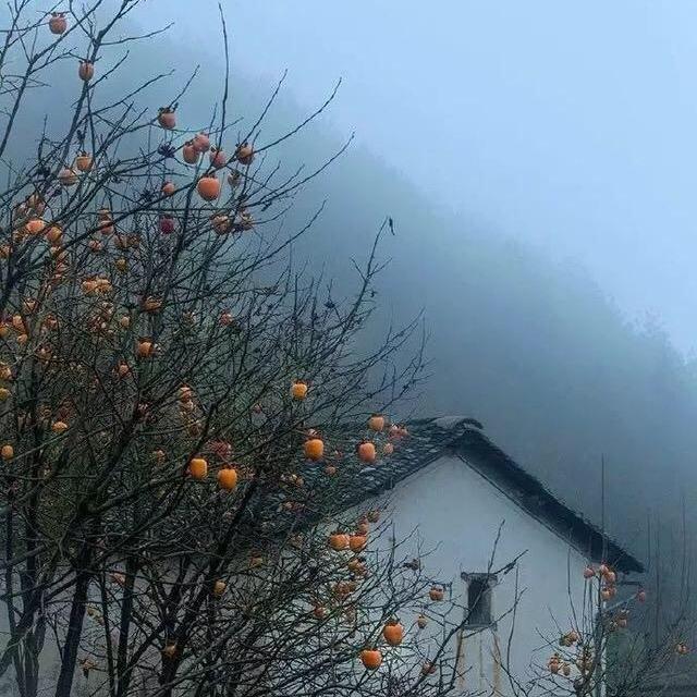 倾城之恋