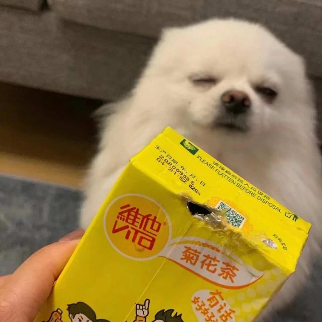 奋斗💪