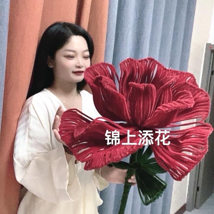 高山旭龙汽车服务👑