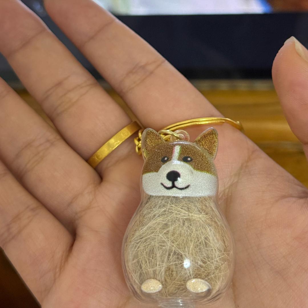 黎鸭澜（汪福记）🐶