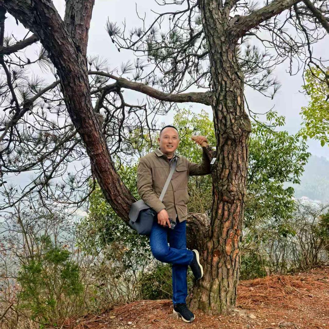 六安东七木业有限公司