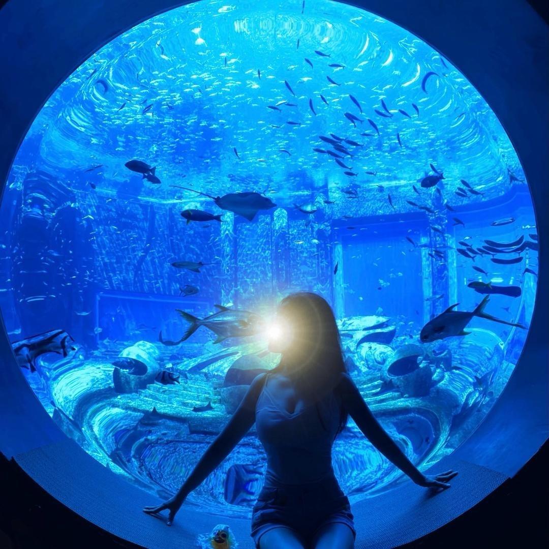 软咚咚肉嘟嘟🐡