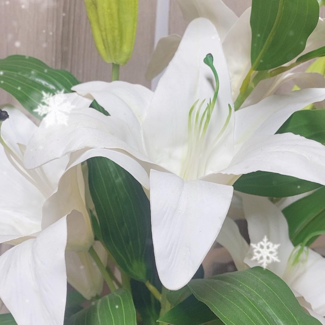 梨花