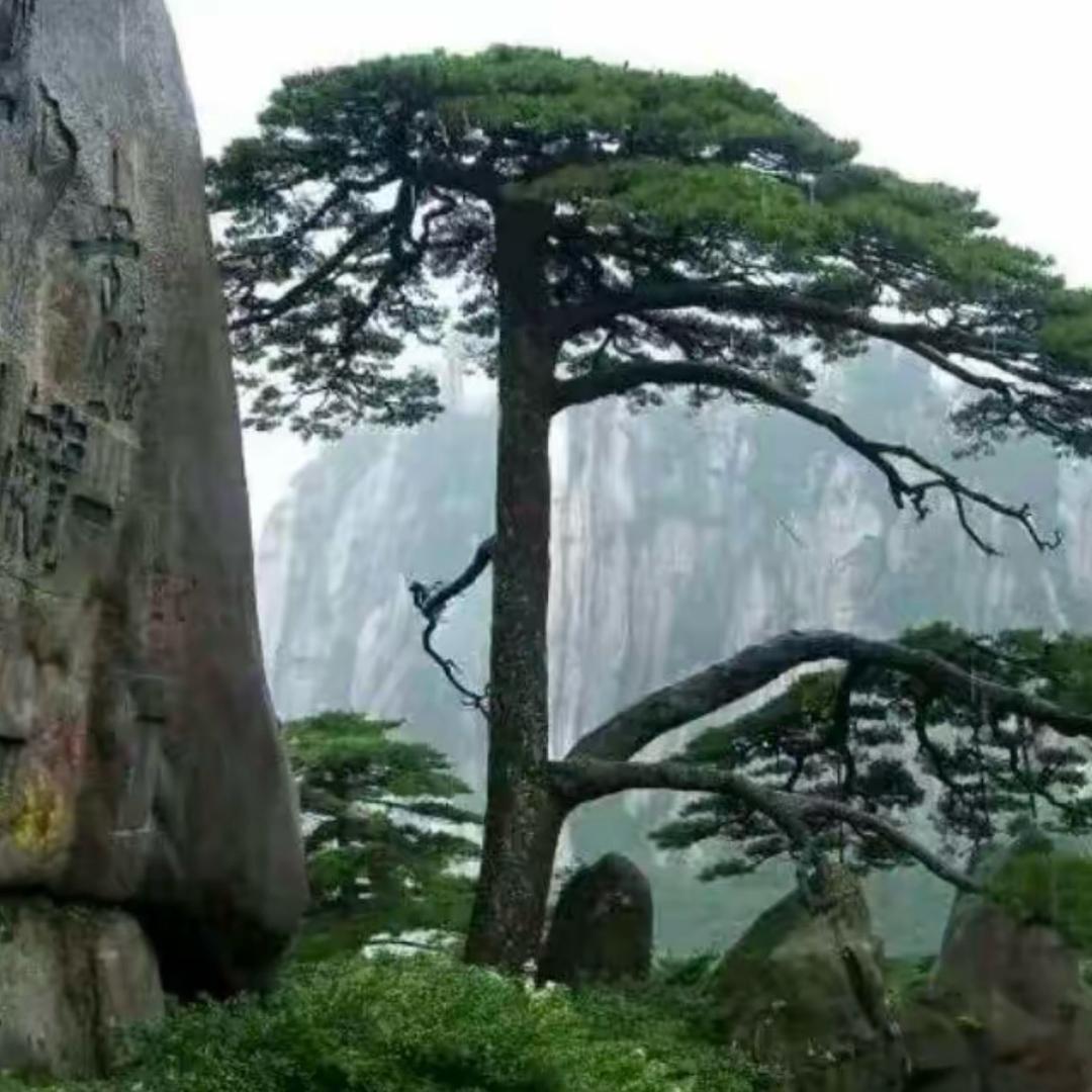 豪•情