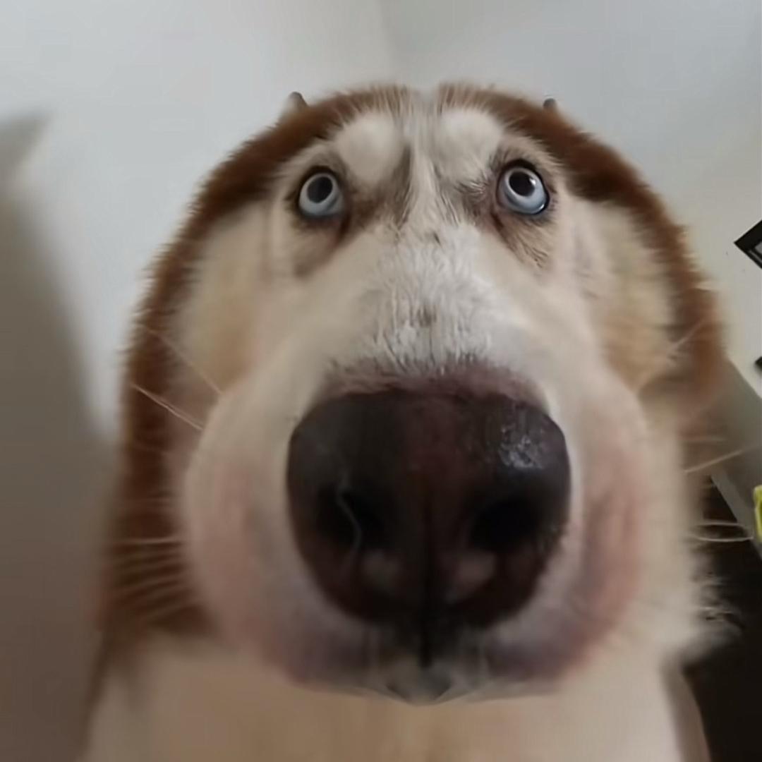 汐音