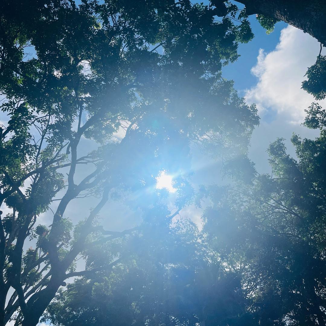 赶着毛驴儿送秋波