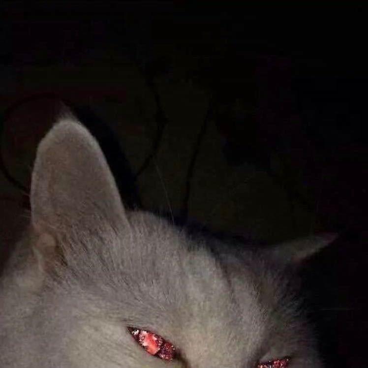 NB