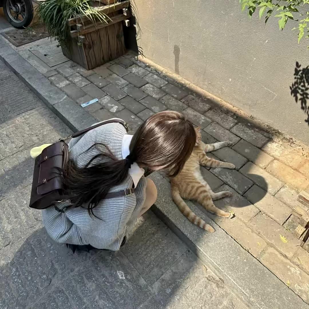 樟染