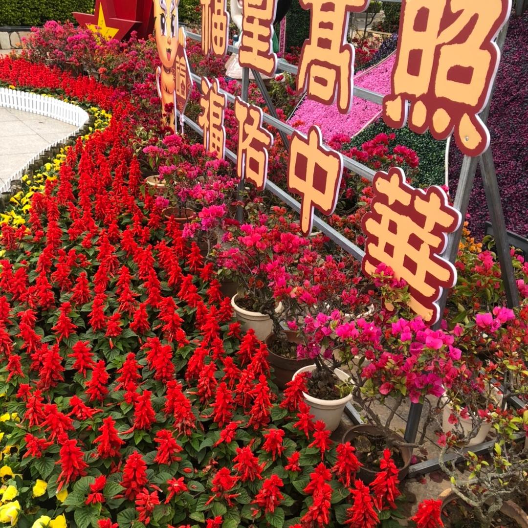 明天更晴朗
