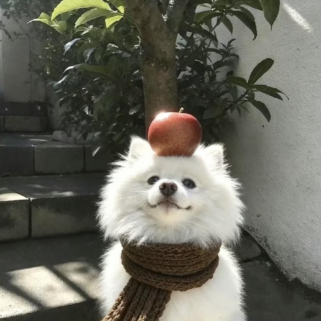 热心蒋