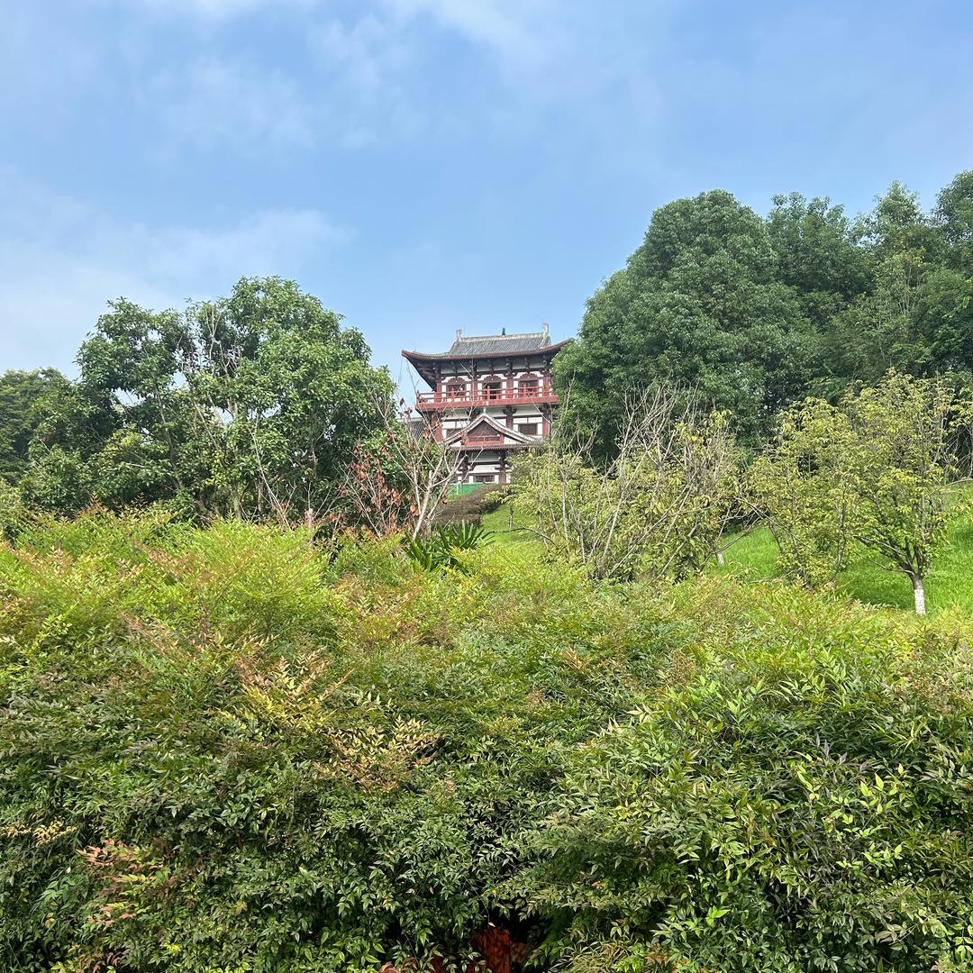 四川烟机灶具卫浴浴霸批发