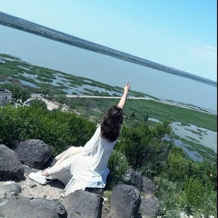 盛开的胡萝卜花