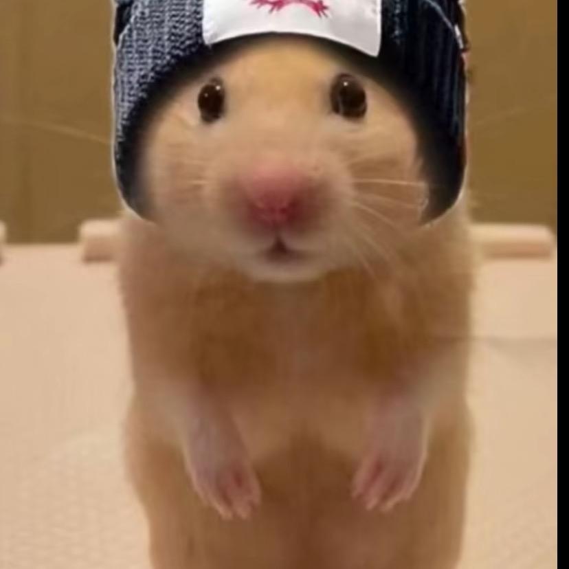 pazelya