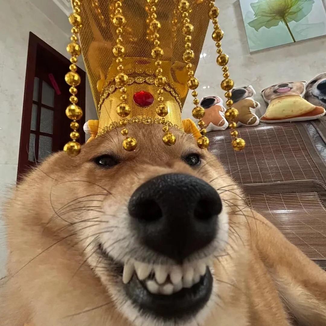 旺旺✓
