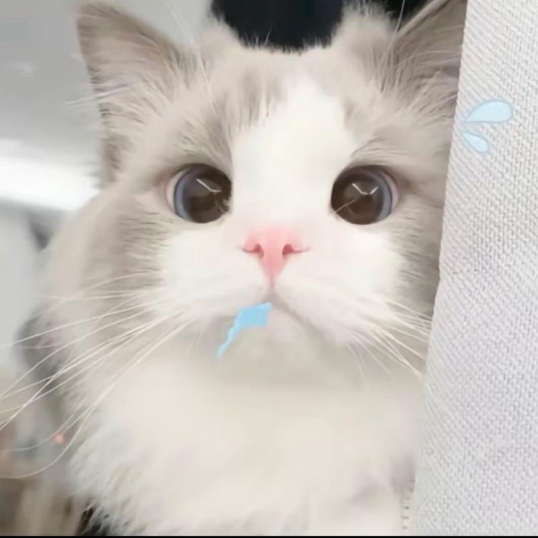 小慰
