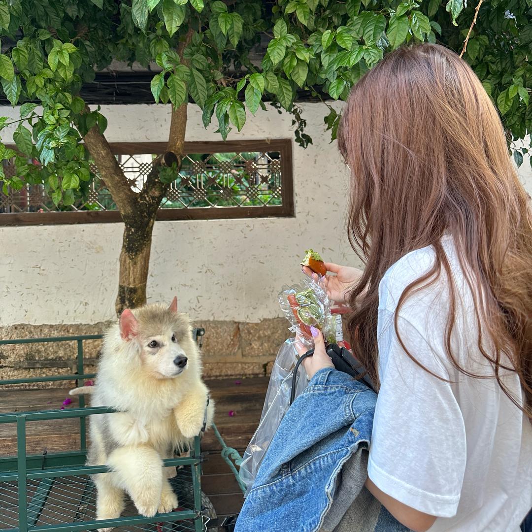 易丫丫ˁ῁̮ˀ