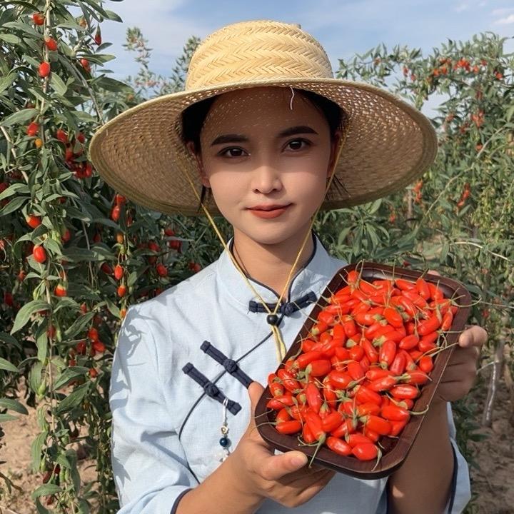 瑞茗宁夏中宁红枸杞自产自销