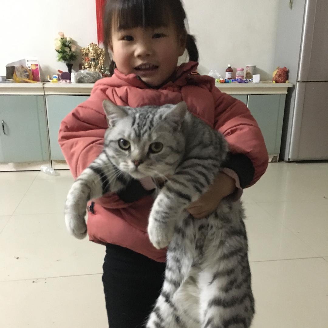 子恬
