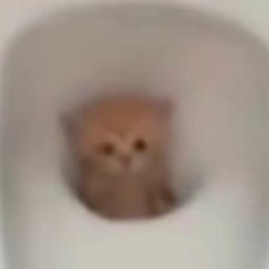 吃饱饭就睡觉