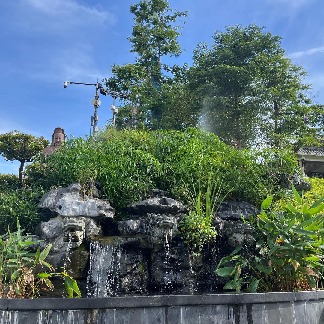 Ting🥛🥬🍊🥦