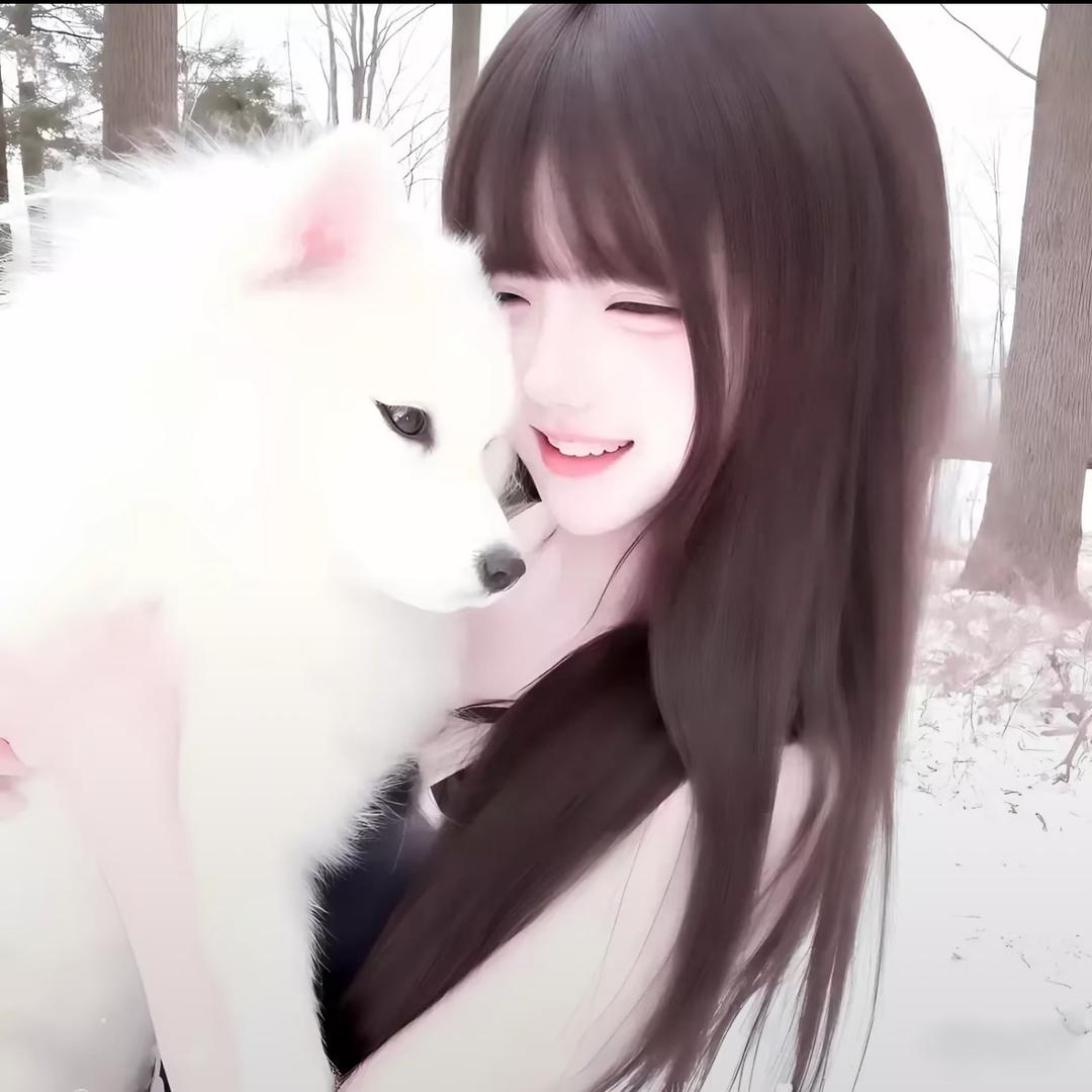 圆圆宝