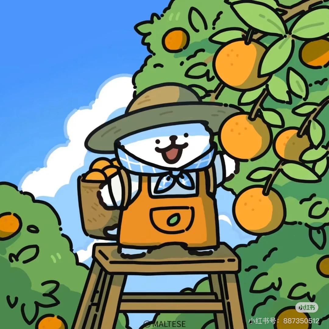 大壮水果（超爱榴莲）