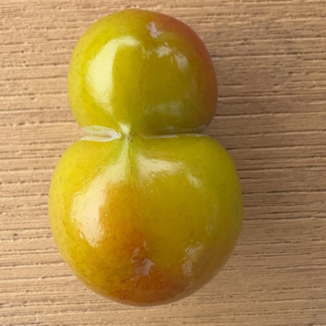 旗开得胜。