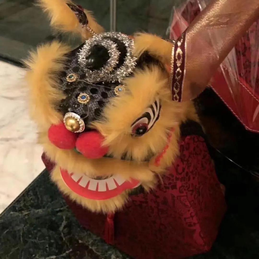 乙巳安康&🌈🌈🌈🎆🎆🎆_