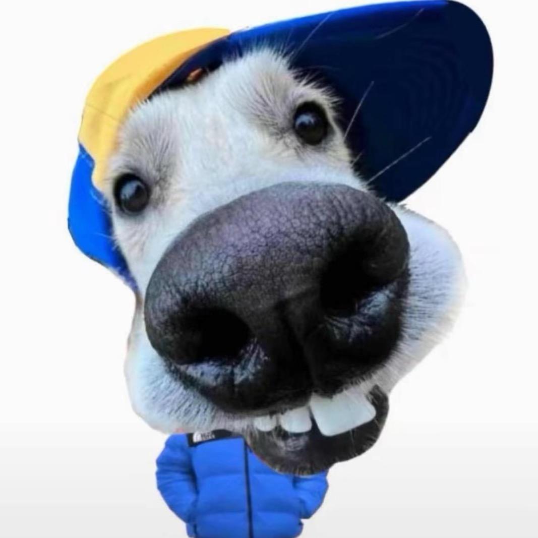 帅气善良大方的蓝月亮洗衣液