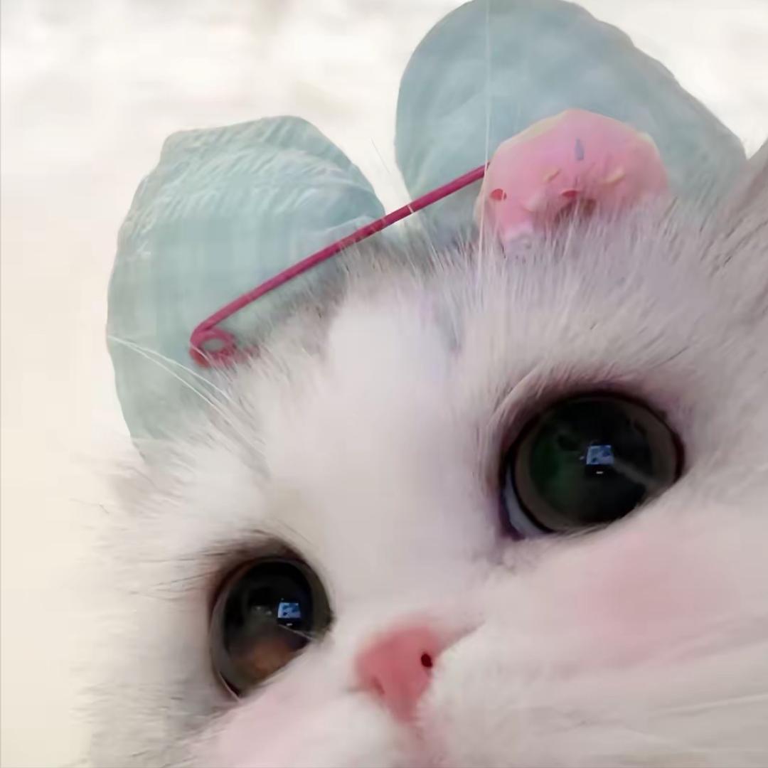 茉莉茶~
