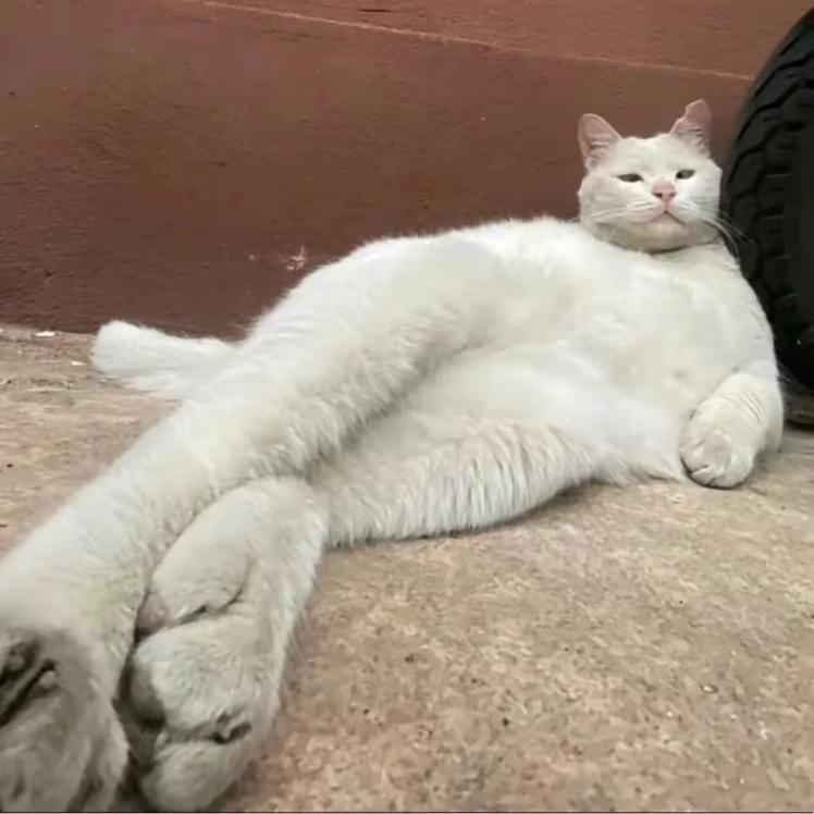 腊
