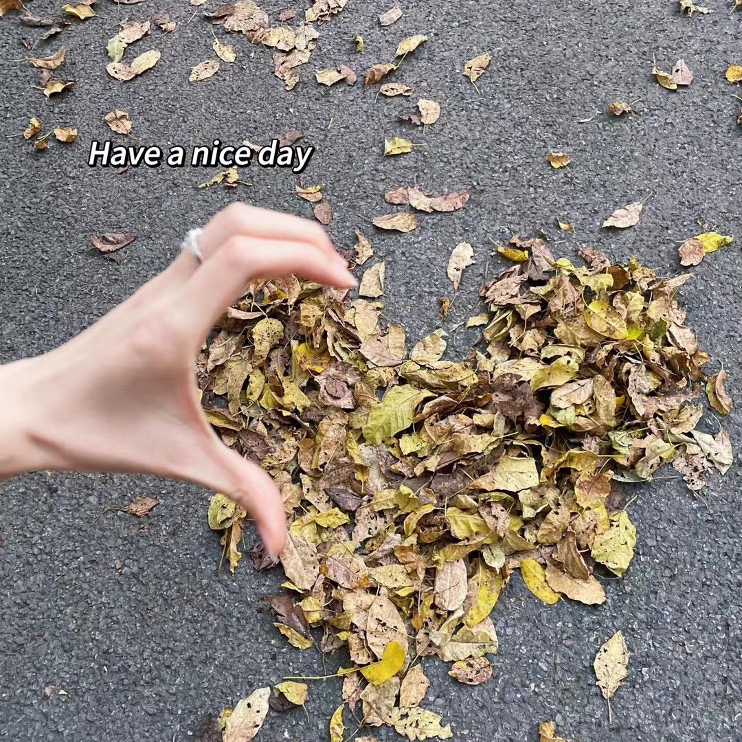 爱迷糊的宝宝