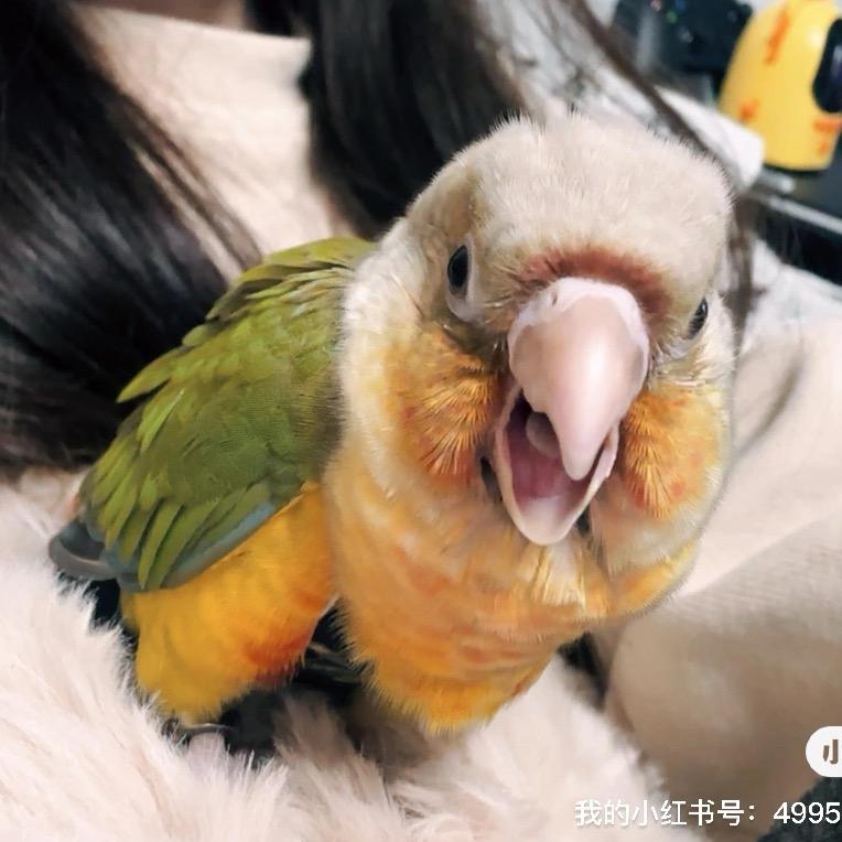 🍤虾仁不眨眼