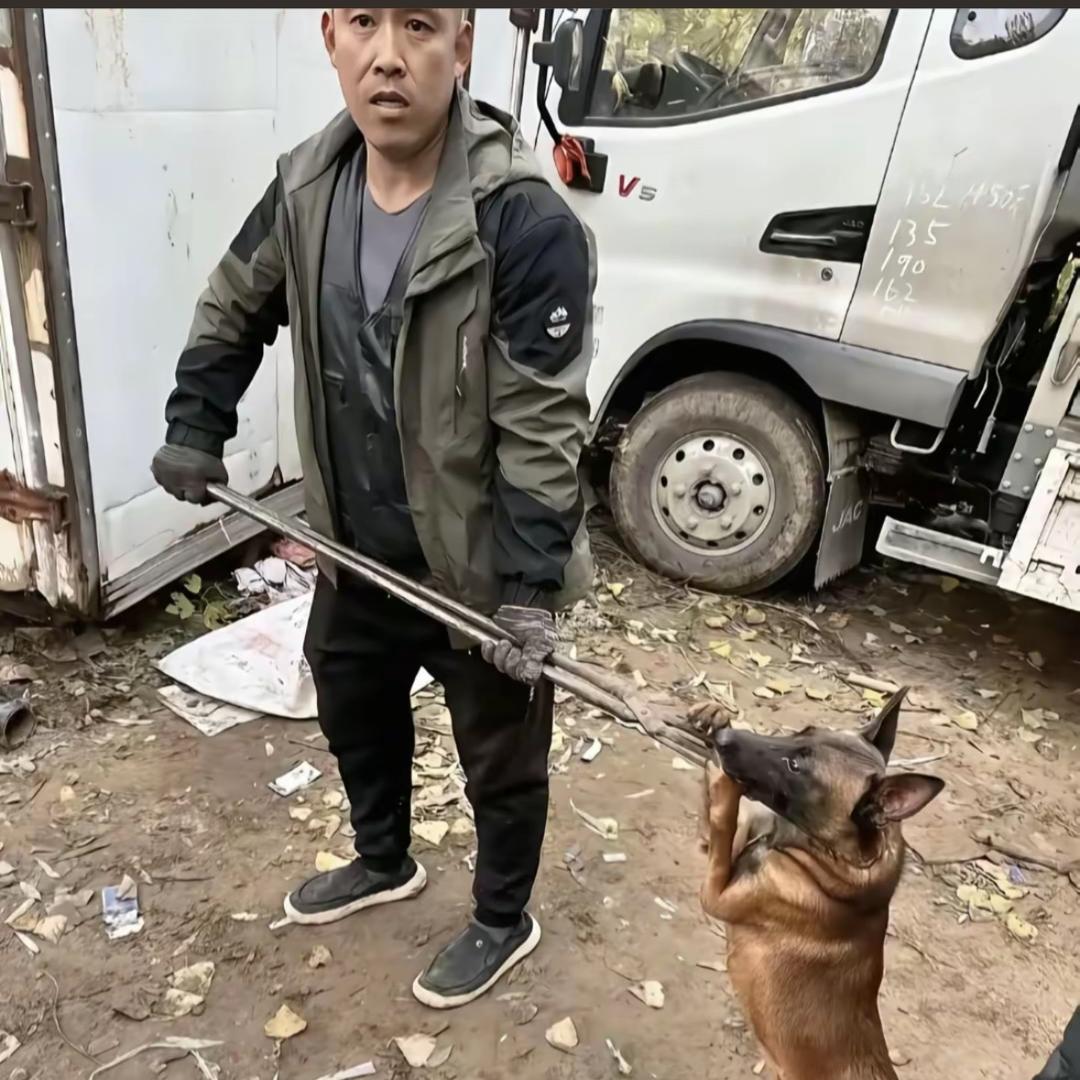 AAA专业套狗张师傅