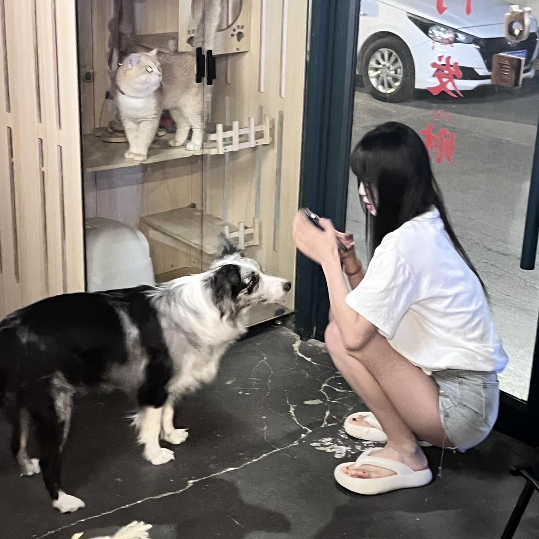 姜莱