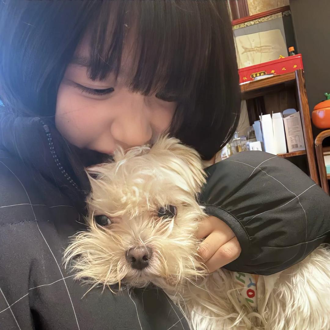 眨糕