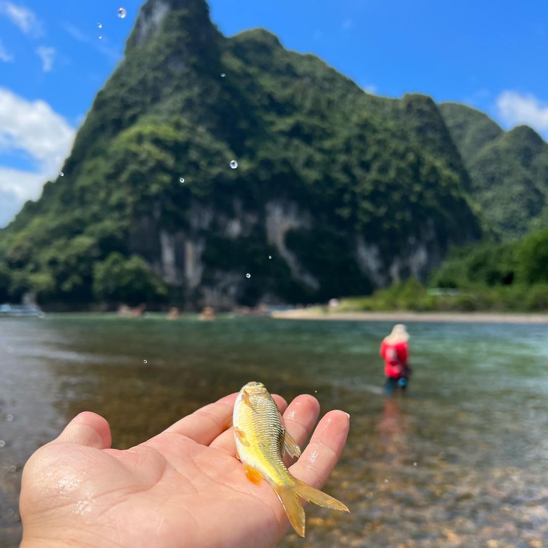 奔驰的小野马🐎