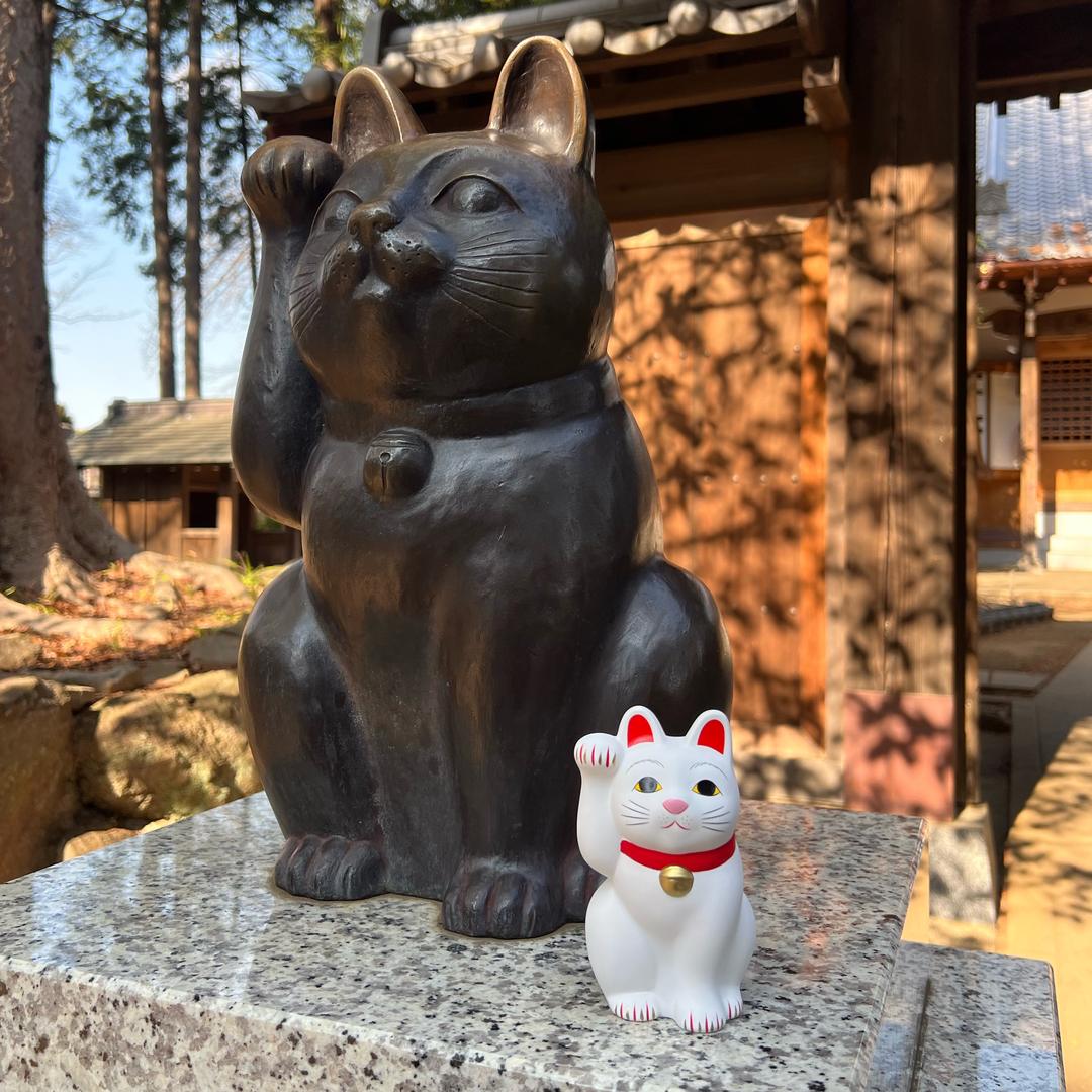 🍊陈大野很野