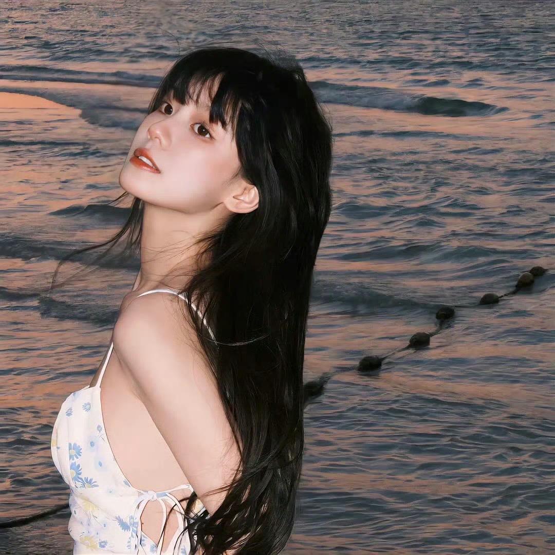 懒洋洋🐑